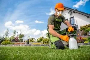professional landscaper applying herbicide to lawn